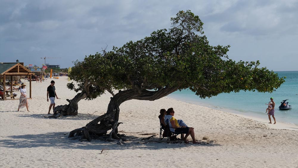 Dünya genelinde en iyi plajlar Mavi bayraklı plajların özellikleri nelerdir Eagle Beach, Aruba