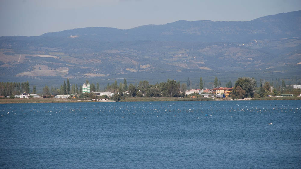 İznik Gölü'nün Eşsiz Güzelliği Kuş Gözlemi ve Bisiklet Turları 2