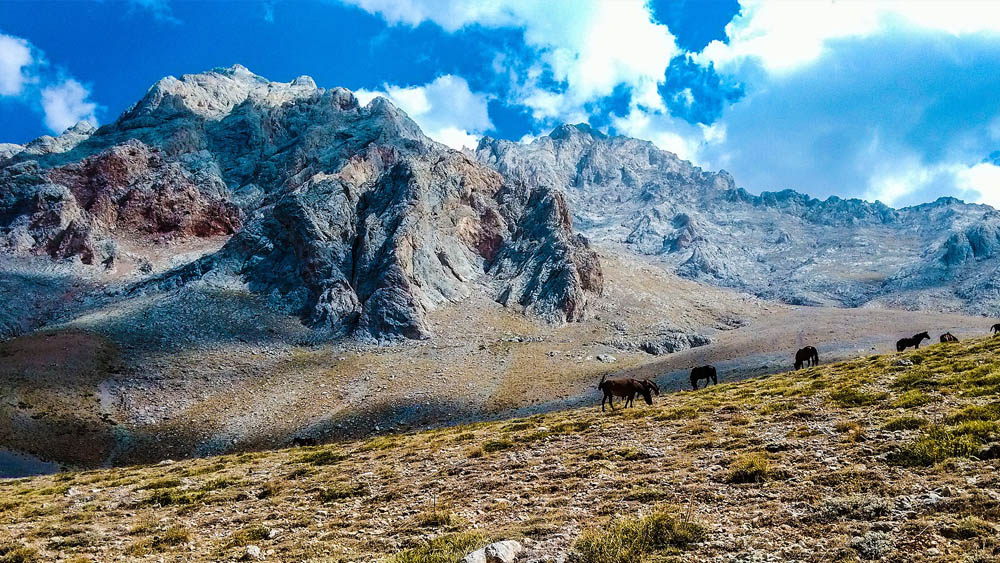 Adana'da Macera ve Adrenalin Rafting ve Kaya Tırmanışı Turları 6
