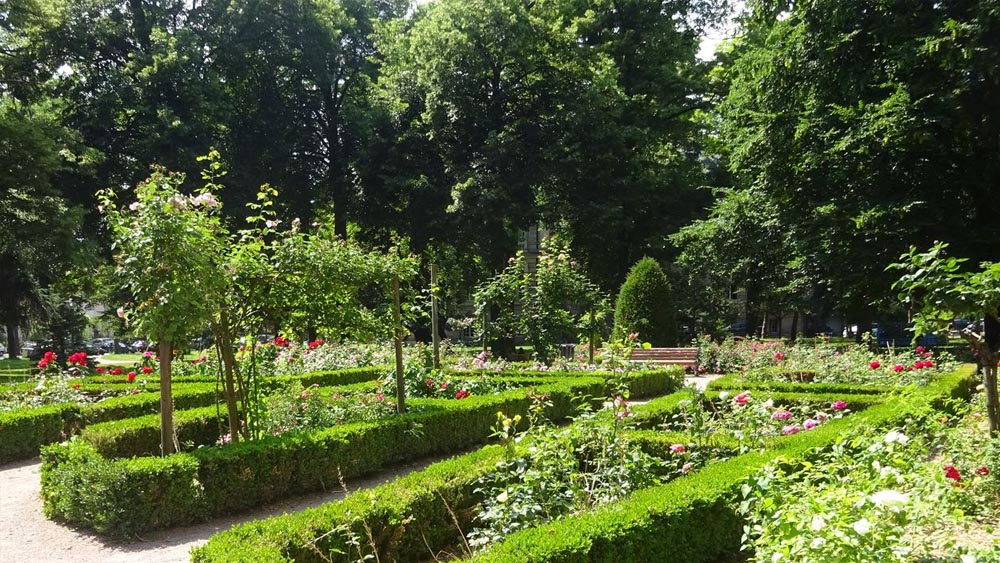 Colmar Seyahati Rehberi Mutlaka Görmeniz Gereken 30 Yer 25 Parc de la Roseraie