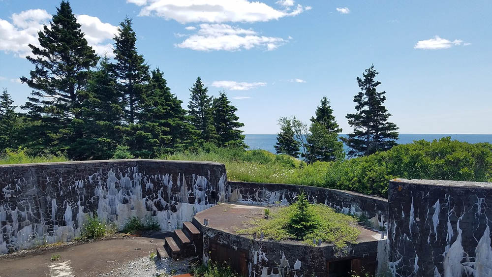 Halifax Gezilecek Yerler Atlantik Kanada'nın En İkonik Şehrİ 9